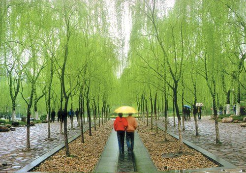 雨中漫步(Stepping On The Rainy Street)