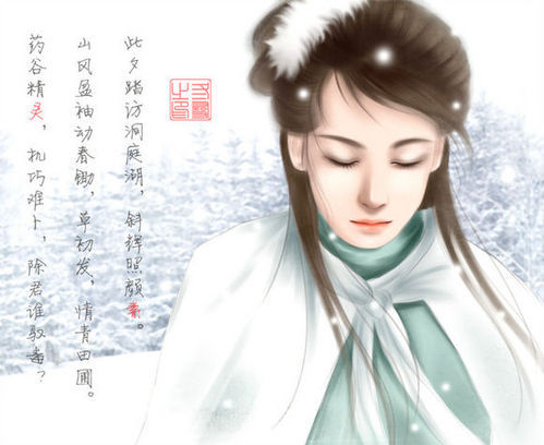 追梦人(雪山飞狐主题曲)