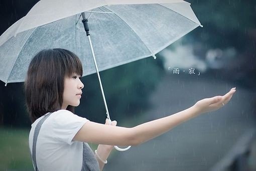 雨的印记 钢琴曲